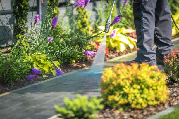Best Driveway Pressure Washing  in North Bellport, NY